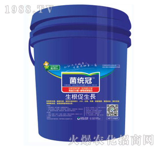 ���������L(zh��ng)-���y(t��ng)��-������