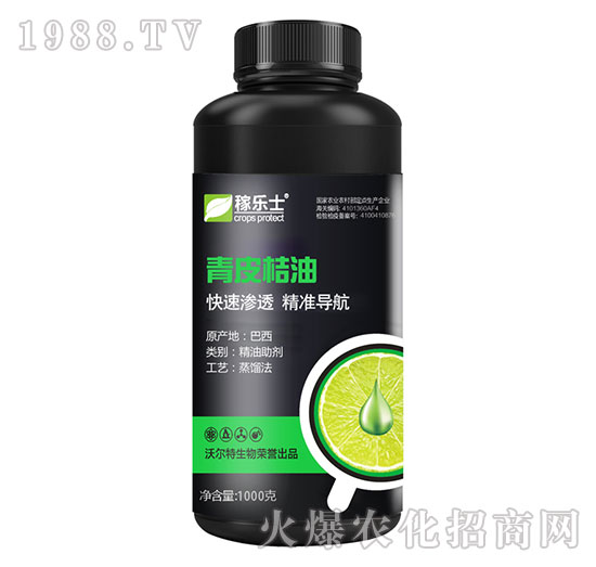 ��Ƥ����-�ژ�(l��)ʿ