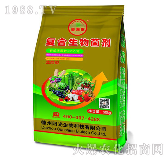 �����͏�(f��)���������-��M(m��n)��-�(y��ng)������