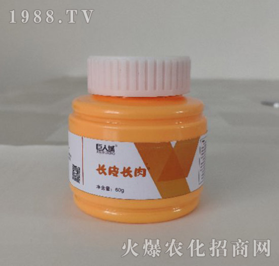 �LƤ�L��-���˳�