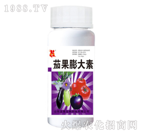 �ѹ������-��������