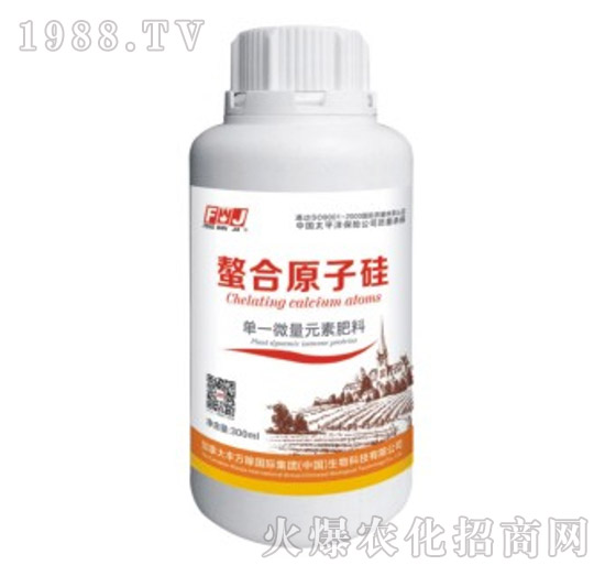 ��һ΢��Ԫ�ط���-����ԭ�ӹ�-�S�f��