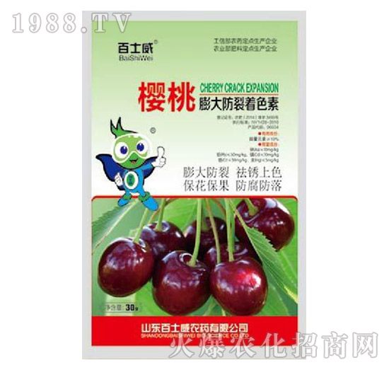 ������������ɫ��-��ʿ��