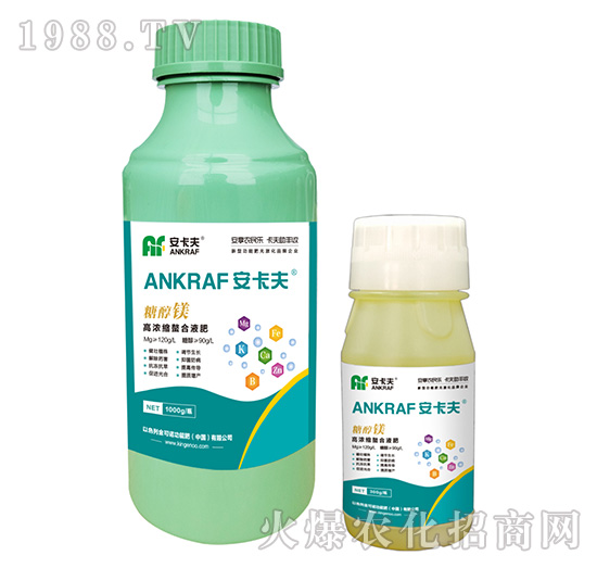 �Ǵ��V-������