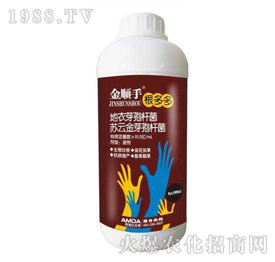 根多多-金順手-阿姆達(dá)