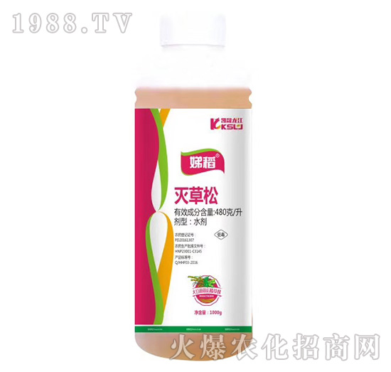 480��ÿ�������-淵�-�P������