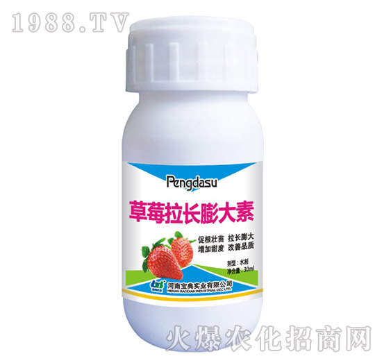 ��ݮ���L�����-���䌍�I(y��)