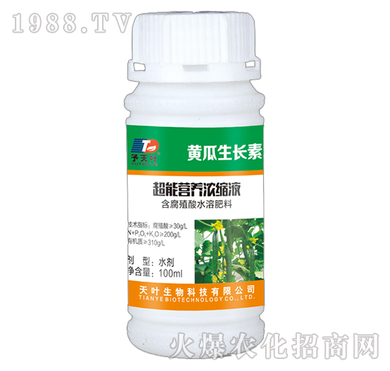超能營養(yǎng)濃縮液-黃瓜生長素-天葉生物