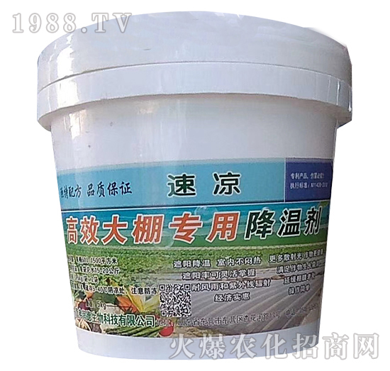 ��Ч����ý��؄�-�ٛ�-������