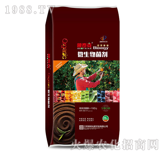 ΢�������-��̩��-���r�ʘI(y��)