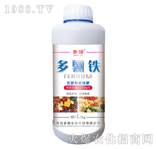 ���P�F��ƿ��-���P����