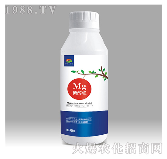 �Ǵ��V-��������