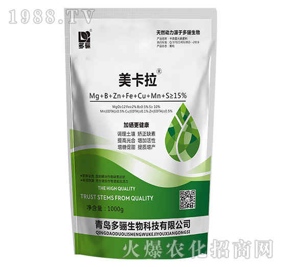 1000g������-���P����