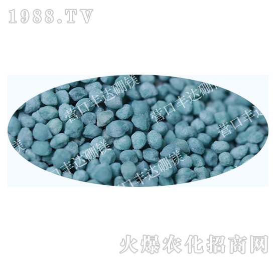 �����@���w��������-�S�_��