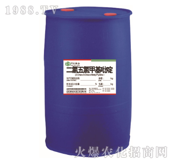 �������ȼ׻����-���r(n��ng)(li��n)��