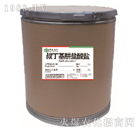 �嶡�����}���}-���r(n��ng)(li��n)��