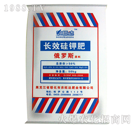 �LЧ��⛷�-�r���_�ʘI(y��)