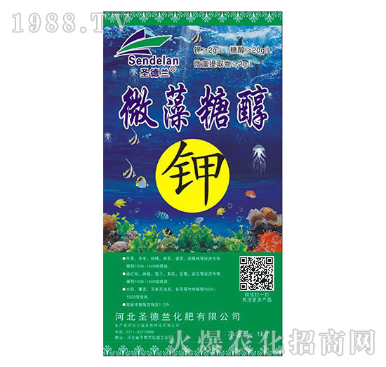 ΢���Ǵ��-ʥ���m