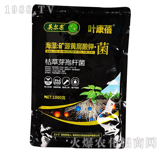 ����VԴ�S����⛡���-�~����-Ӣ����