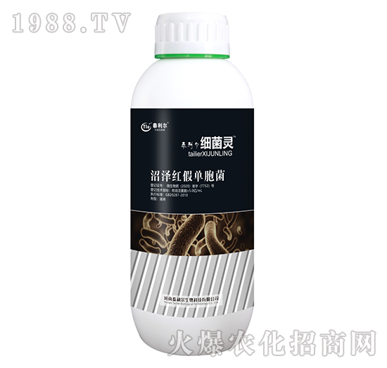 �ӝɼt�نΰ���-�����`-̩����