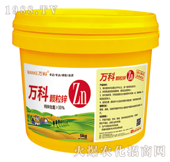 �w���\-�f��