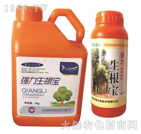 ��(qi��ng)��������-�p������