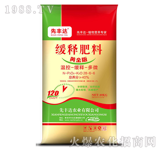 �S��澏ጷ���28-6-6-���S�_(d��)