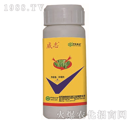 5%���S����-��־-���r(li��n)��