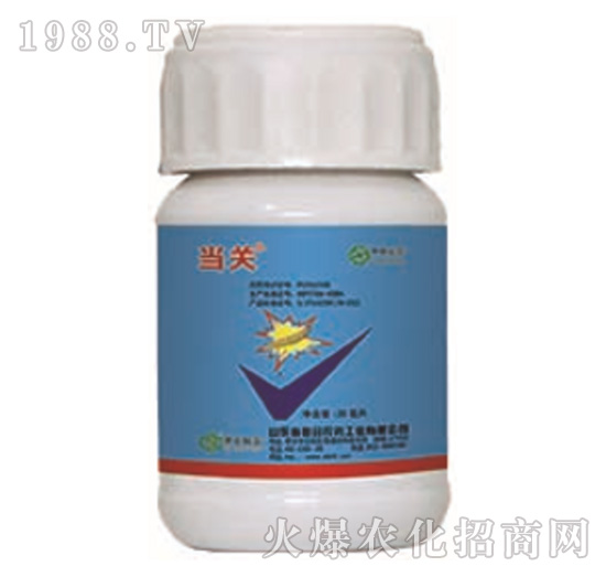 24%�����x����+5%���S����-���P-���r(li��n)��