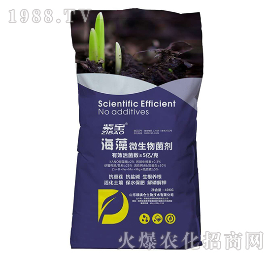 5�|����΢�������-�ό�-�Z�M�}