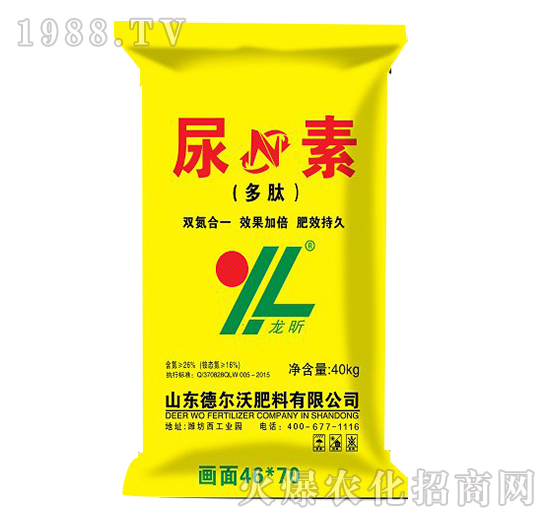 ��������-���-� ���