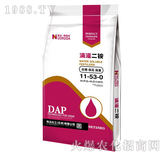 �ι���@11-53-0-�Z�J�_(d��)-��������