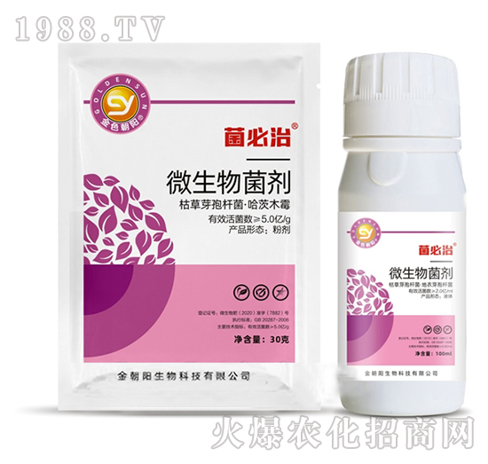 ΢�������-������-���