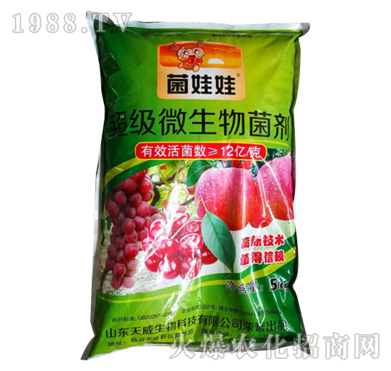 �������-������-��������