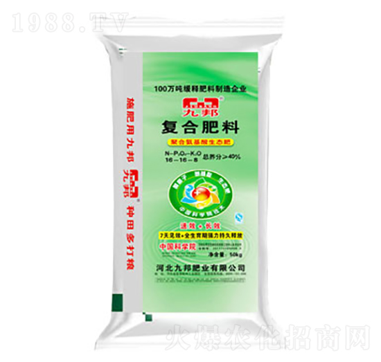 �ͺϷ���16-16-8-�Ű�