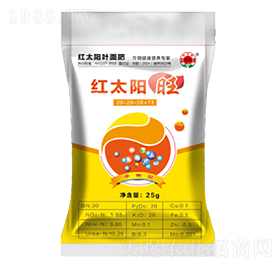 �t̫��~���-��-�ư�