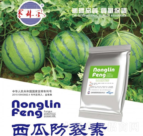 ���Ϸ�����-�r(n��ng)���L-��S��