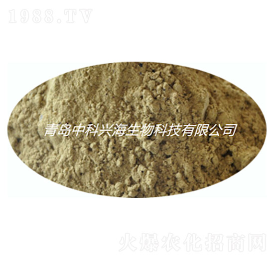 ø�⺣�凊�ɷ�-�п��d��