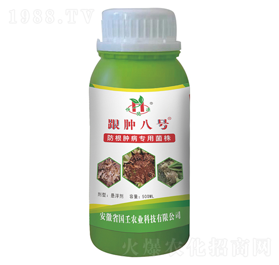 跟腫八號(hào)-國(guó)壬生物