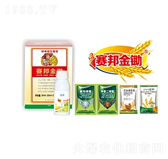 ���������ݽM�����b-ِ��