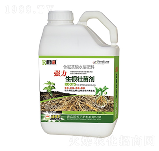 �������焩-������