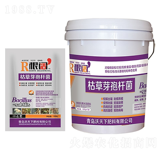 �ݲ�ѿ�ߗU��-���-������