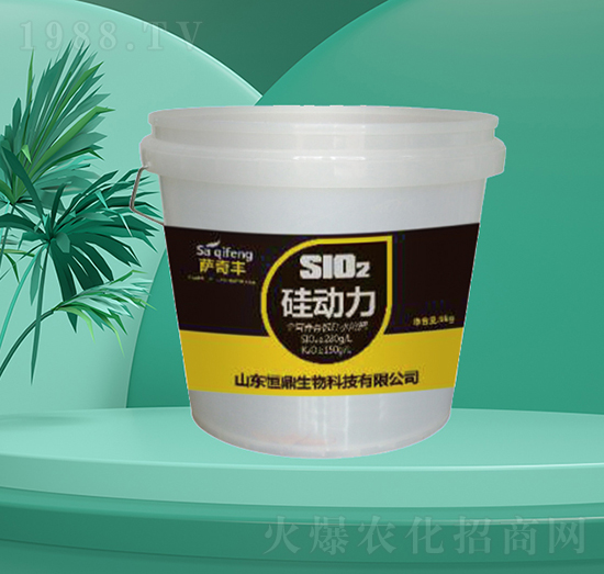 ���(d��ng)��-�㶦����