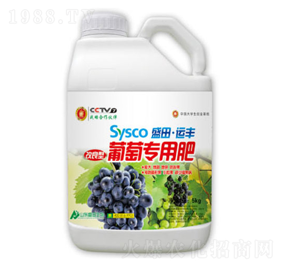 ʢ���\(y��n)�S���ь��÷�-ʢ������