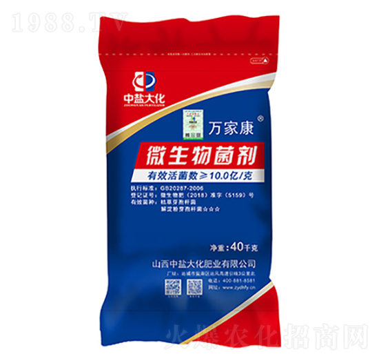 10�|΢�������-�f�ҿ�-���}��