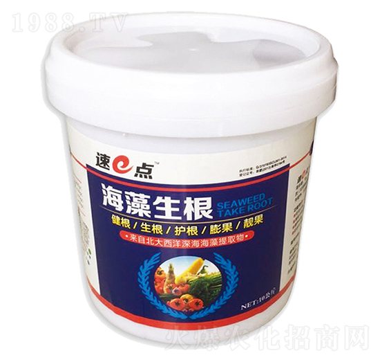 ����s����������-��e�c-�T��