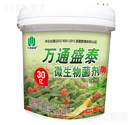 ΢�������-�fͨʢ̩-ʢ̩����