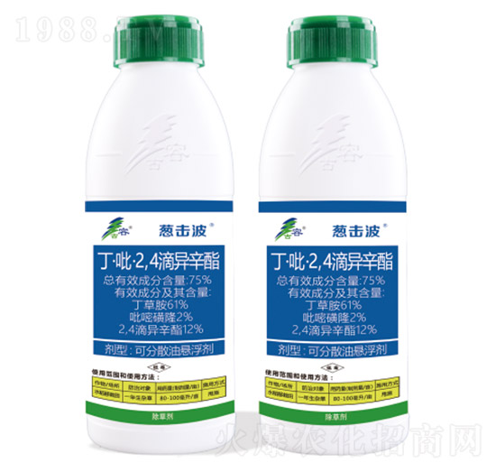 75%��������2��4���ή���֬-�[����-����