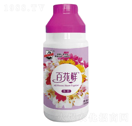 �ٻ��r��(zh��ng)��-������