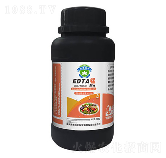 ���ϑB(t��i)�i��-��̩����